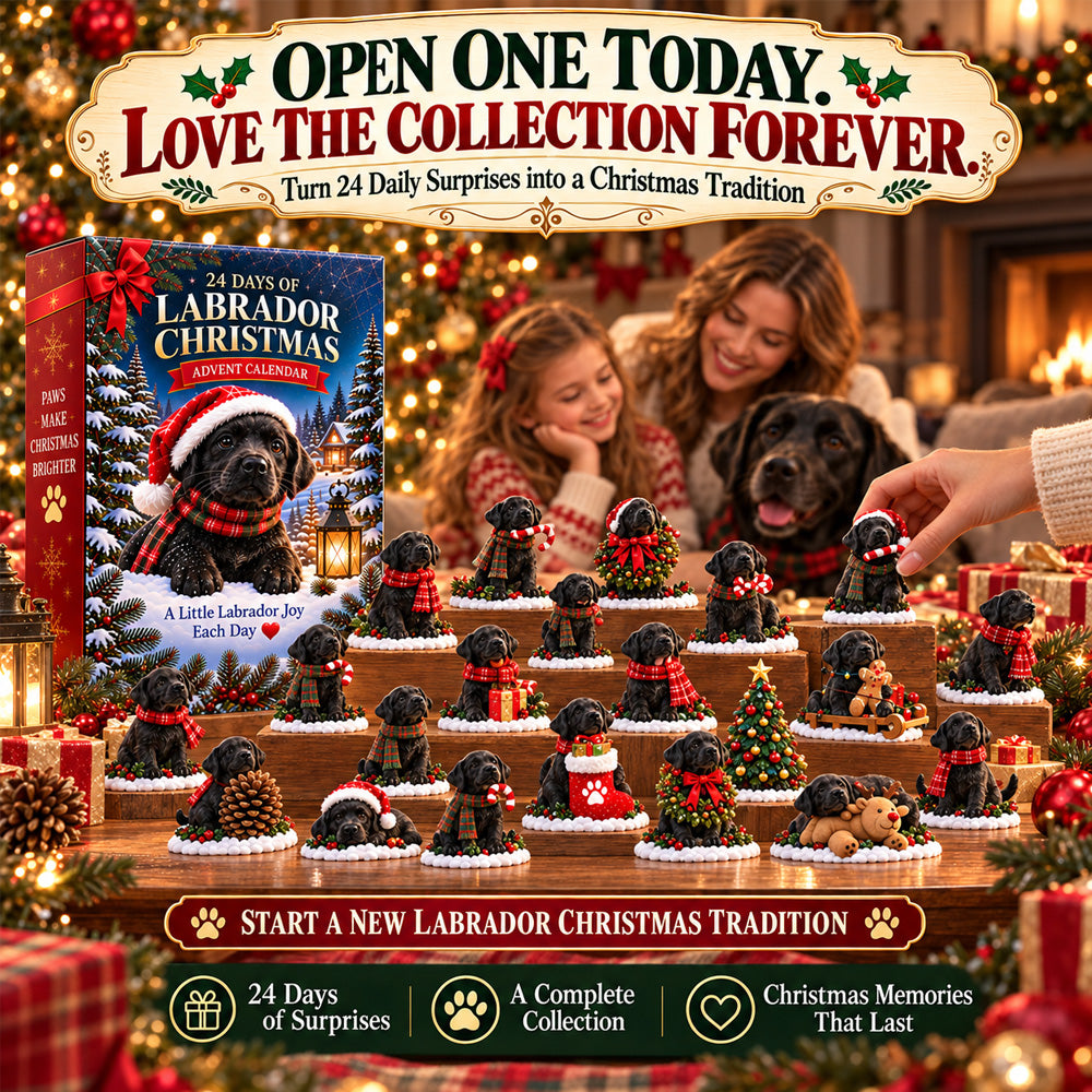 ⏳ Last day to save 50% 🎄 24 Days of Labrador Christmas – Black Lab Advent Calendar 🐾