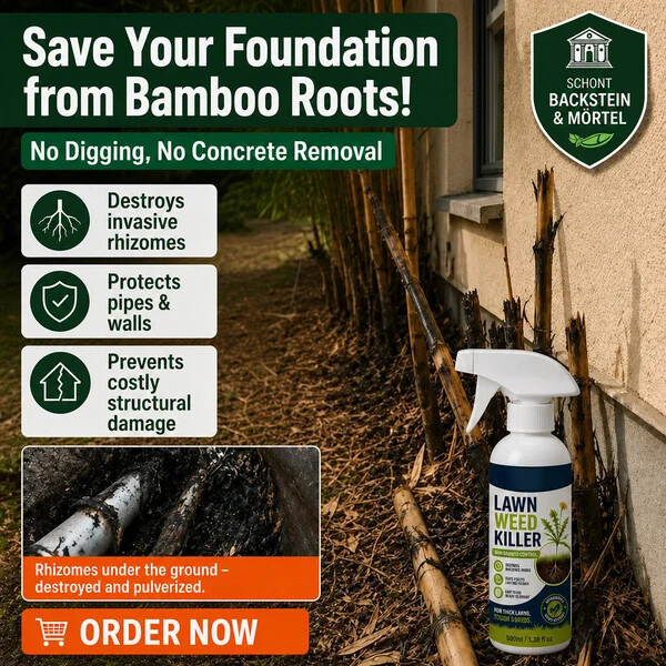 🔥 50% OFF 🌿 Weed Stop – Powerful Against Weeds & Helps Prevent New Growth | For Gardens, Paths & Yards ⚡