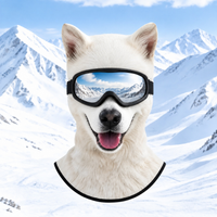 Samoyed