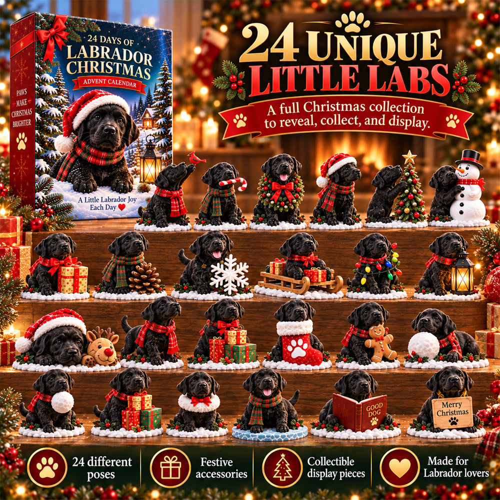 ⏳ Last day to save 50% 🎄 24 Days of Labrador Christmas – Black Lab Advent Calendar 🐾