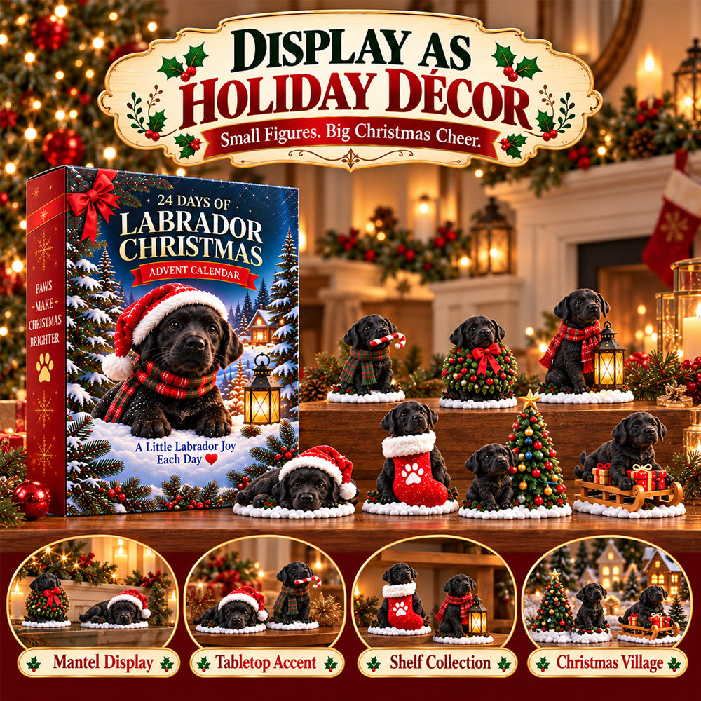 ⏳ Last day to save 50% 🎄 24 Days of Labrador Christmas – Black Lab Advent Calendar 🐾
