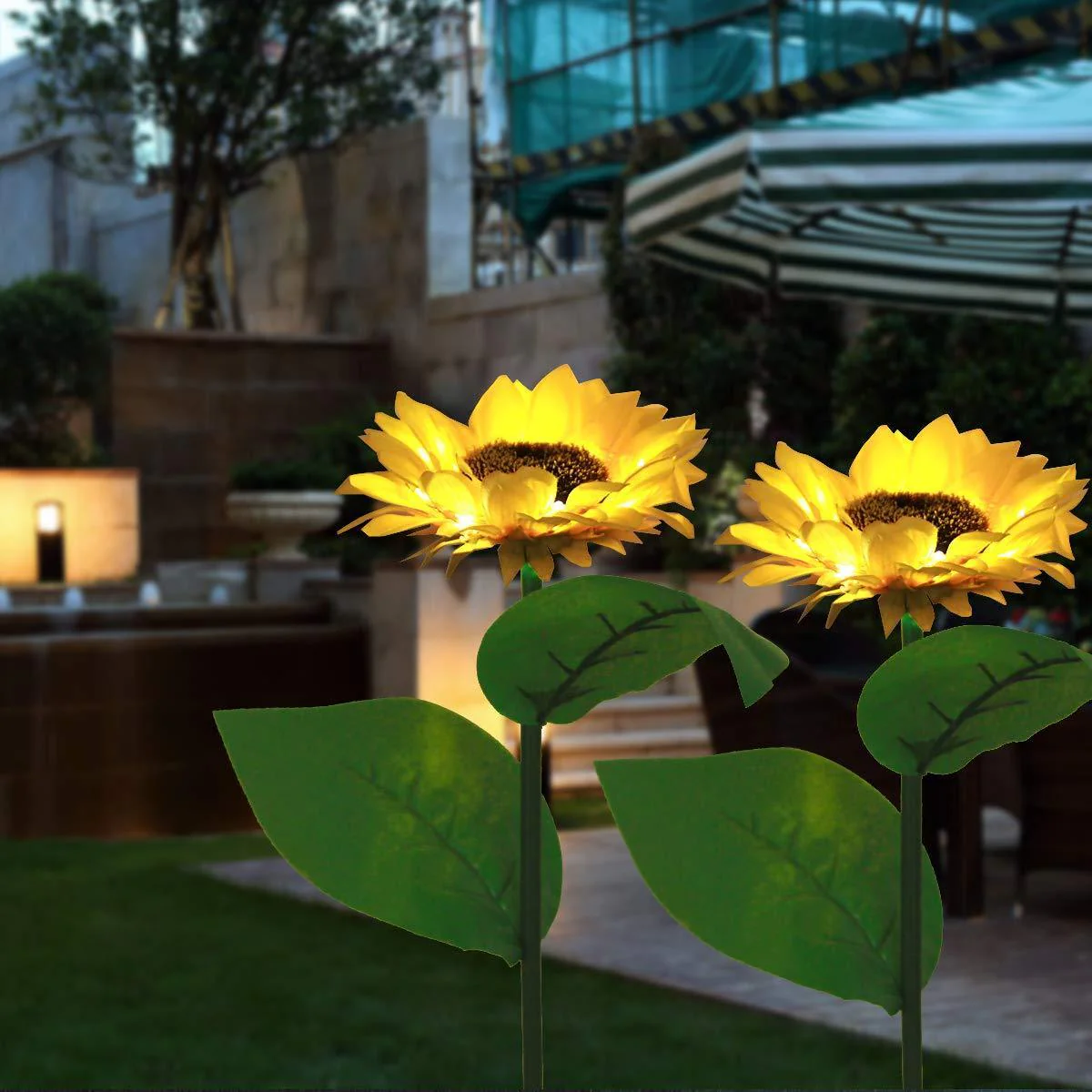 Upgrade-One sunflower