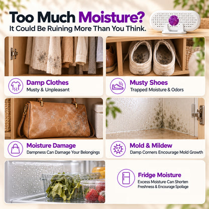 ⏰ Mini Reusable Dehumidifier – Portable Moisture Absorber for Home, Closet & Bathroom upsell