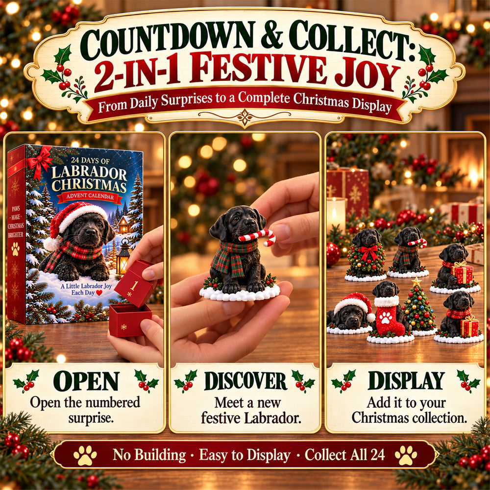 ⏳ Last day to save 50% 🎄 24 Days of Labrador Christmas – Black Lab Advent Calendar 🐾