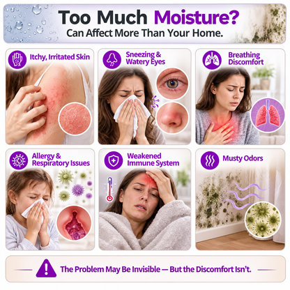 ⏰ Mini Reusable Dehumidifier – Portable Moisture Absorber for Home, Closet & Bathroom upsell