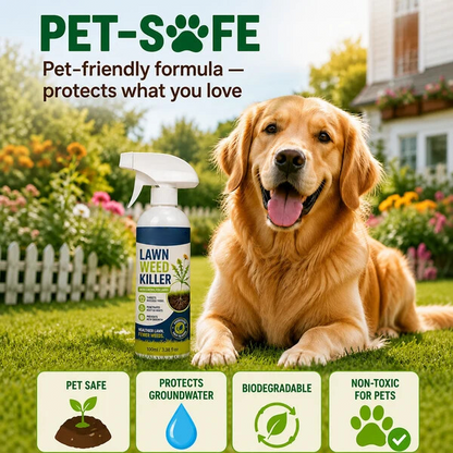 🔥 50% OFF 🌿 Weed Stop – Powerful Against Weeds & Helps Prevent New Growth | For Gardens, Paths & Yards ⚡