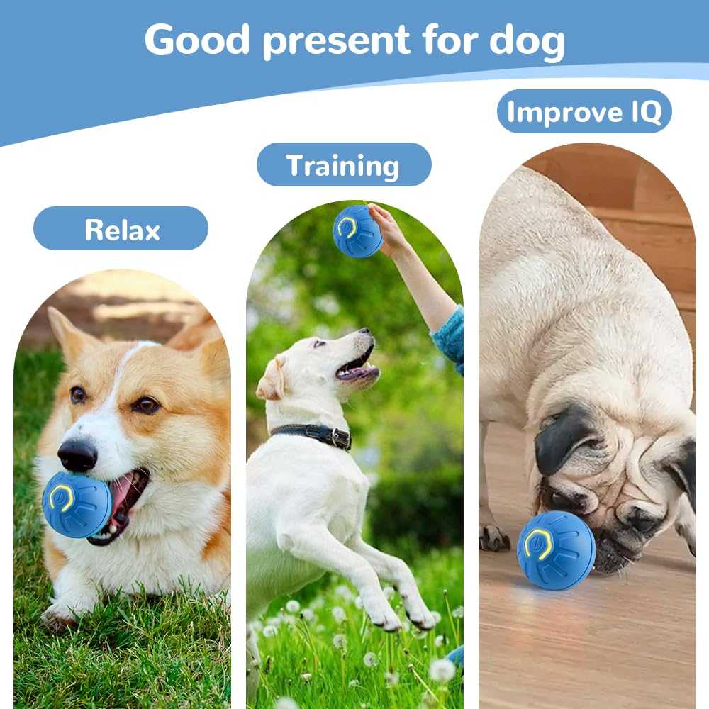 Smart Jumping Ball Pet Toy- Mental Stimulation-Remifa®