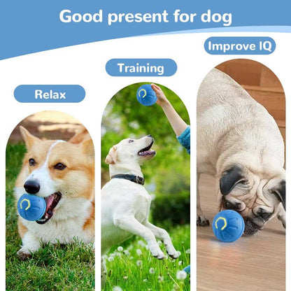 Smart Jumping Ball Pet Toy- Mental Stimulation-Remifa®
