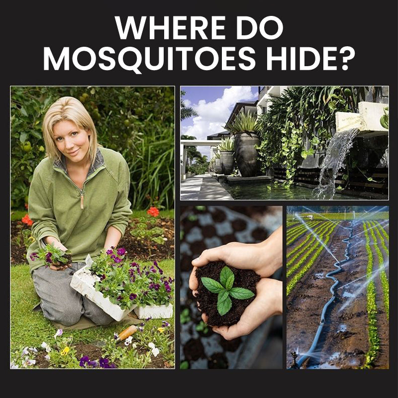 📢📢50% off!! ⏰🦟Solar Mosquito Zapper Lamp Stake🏡⚡