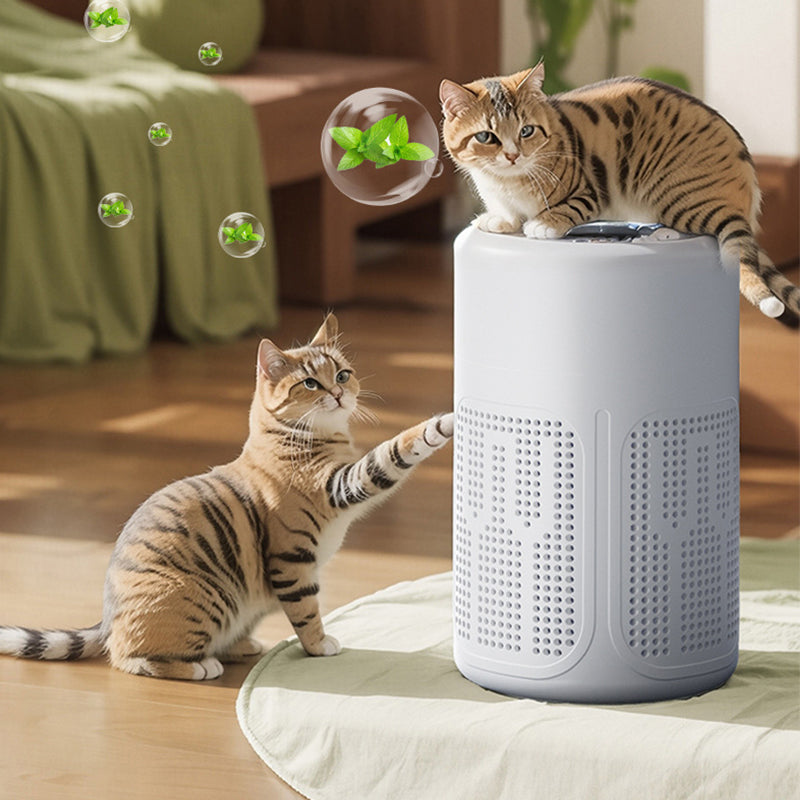 upsell 60%off🔇Limited Offer 💐Silent Air Purifier – Peaceful sleep, no noise😴