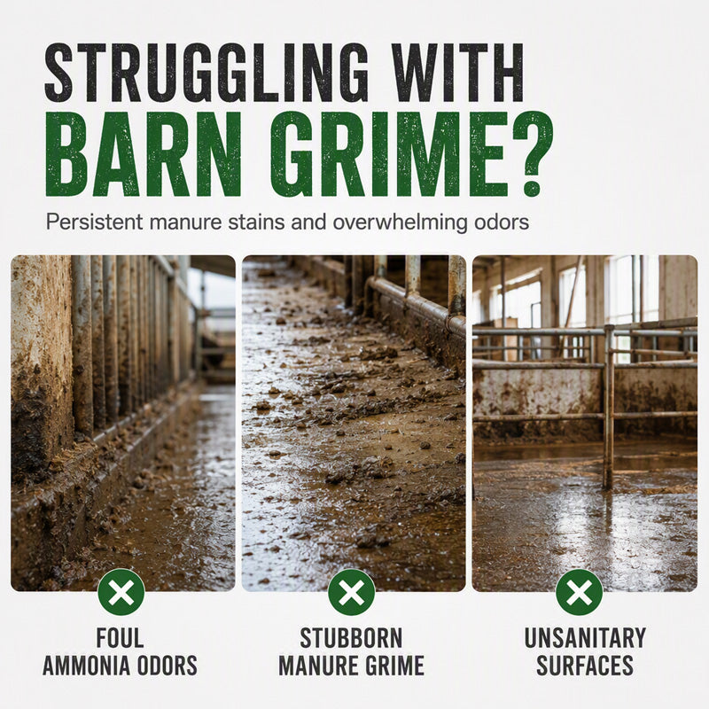 🔥 50% OFF | Barn Stain Remover Spray – Cuts Through Tough Dirt & Grime! 🐴✨