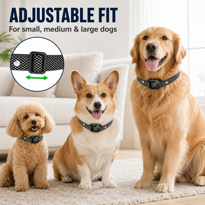 🛡️🐾 50% OFF! Anti Bark Collar – Smart anti‑false triggering filters out other barks. IP67 waterproof & USB rechargeable – worry‑free training anywhere! 💦✅